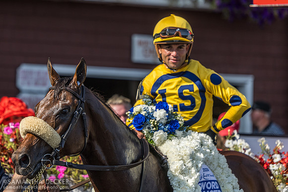 Far Bridge wins the Sword Dancer