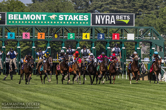 Clear Conscience wins the Kingston