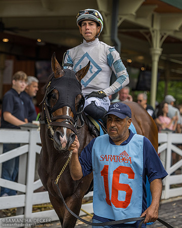 Tommy Two Socks, winner of R4