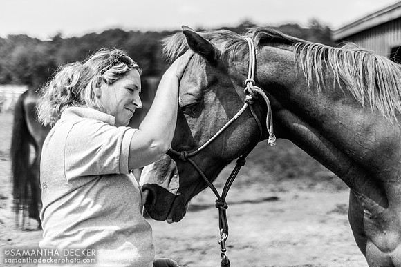 Kate gives Fantastic Shirl a Pet, Therapeutic Horses of Saratoga
