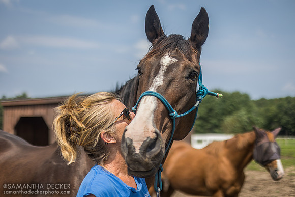 Polly and Day Trading, Therapeutic Horses of Saratoga