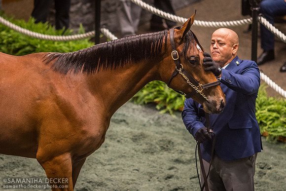 The Saratoga Sale