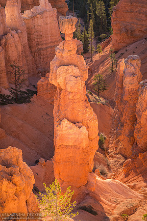 Thors Hammer, Bryce Canyon National Park
