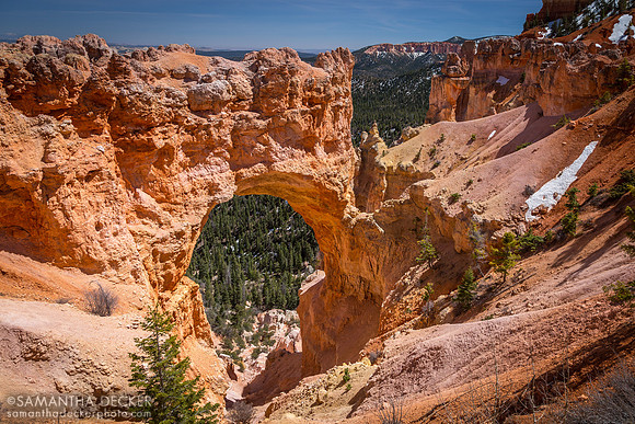Natural Bridge, Bryce Canyon National Park