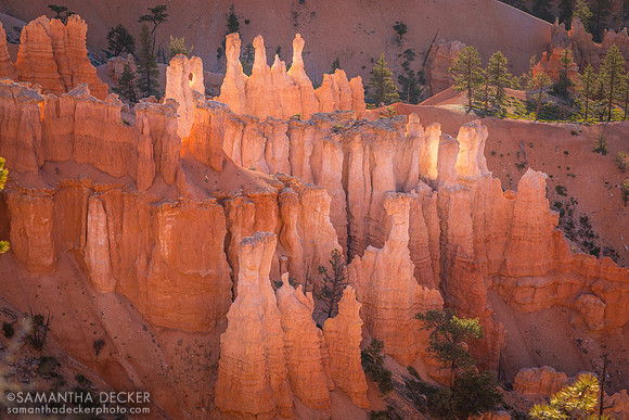 Sunrise, Bryce Canyon National Park