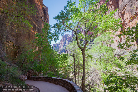 Zion National Park