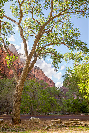 Zion National Park