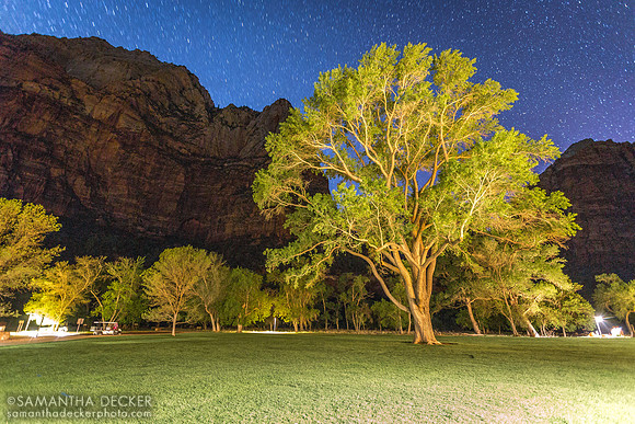 Zion National Park
