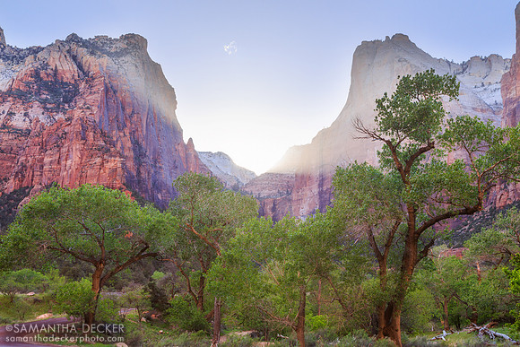 Burst of Sun at Zion National Park