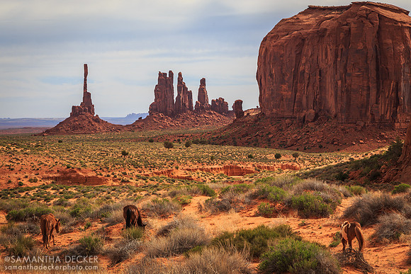 Spires, Monument Valley