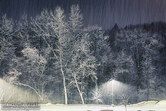 Snow Take 2, 2017