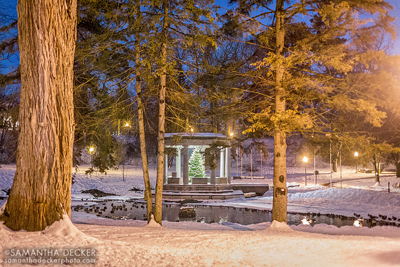 Tree Through the Trees, Congress Park, Saratoga Springs, NY
