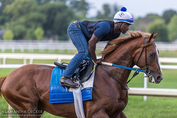 Roberto Howell on Warlander
