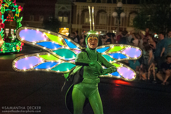 SpectroMagic Parade (2010), Magic Kingdom