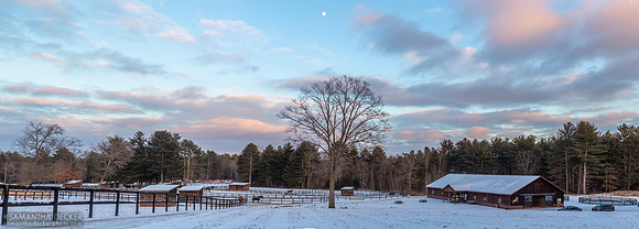 Winter at Old Friends at Cabin Creek, 2022