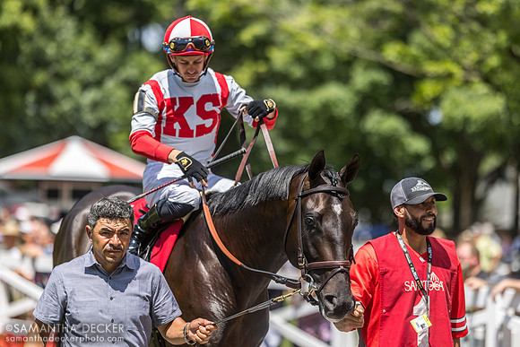 Unmatched Wisdom, winner of the Curlin S.
