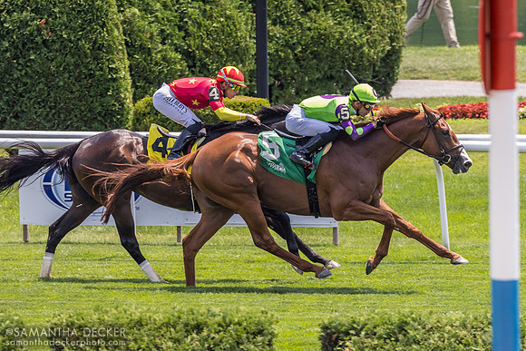 Carl Spackler w/Tyler Gaffalione wins the Kelso S.