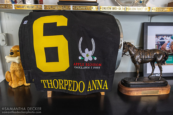 Thorpedo Anna's Apple Blossom saddle towel, Magdalena Farm, Lexington KY