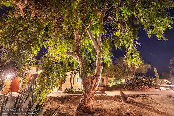 Rancho de los Caballeros, Wickenburg, AZ