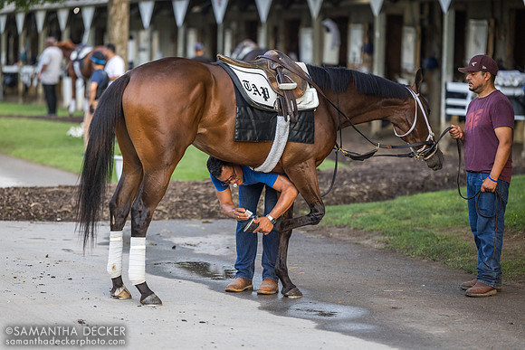 Pletcher barn