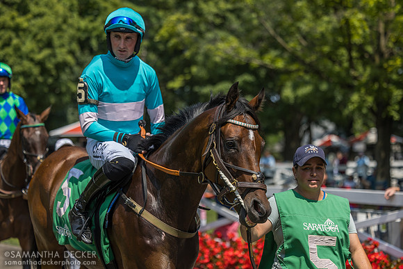 Jimmy P, winner of the Jonathan Sheppard H.
