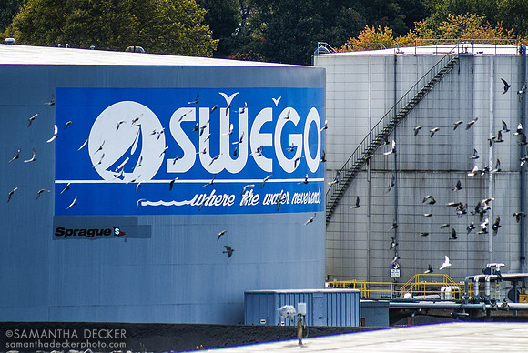 Oswego, NY