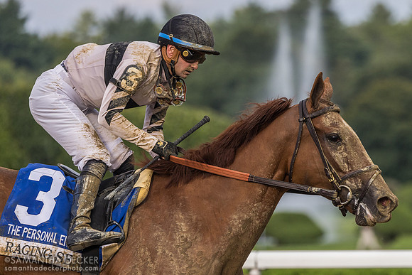 Raging Sea wins the Personal Ensign