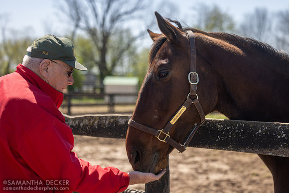 Michael Blowen gives Groundshaker a treat, Old Friends, Georgetown, KY, 2025