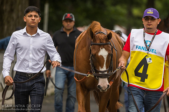 Carl Spackler, winner of the Fourstardave H.