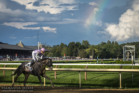 Arcangelo wins the 2023 Travers