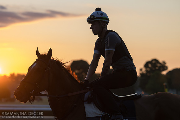 Chad Brown trainee