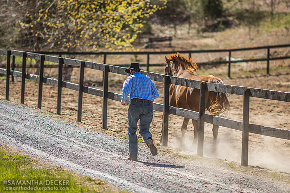 Gregg Races Mr. Cowboy, Old Friends at Cabin Creek, Greenfield, NY, 2022