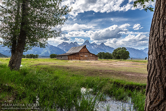 Mormon Row, Grand Teton National Park