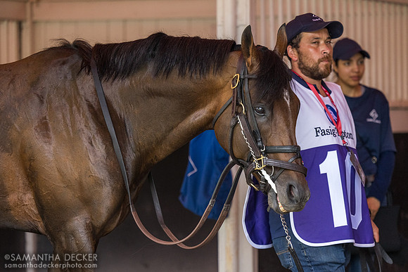 Film Star, winner of the Lure S.