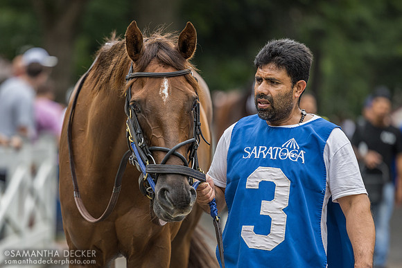Bank Frenzy, winner of the Evan Shipman H.