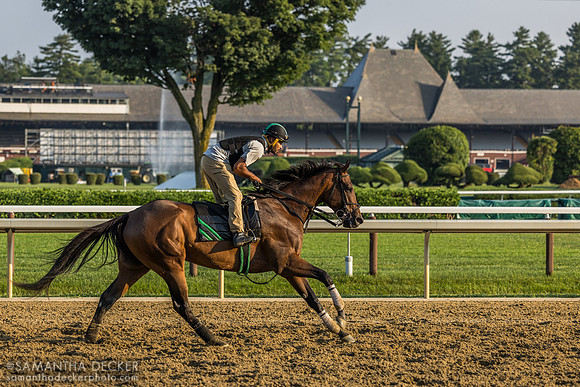 John Ortiz on Brightwork