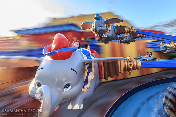 Dumbo the Flying Elephant, Magic Kingdom
