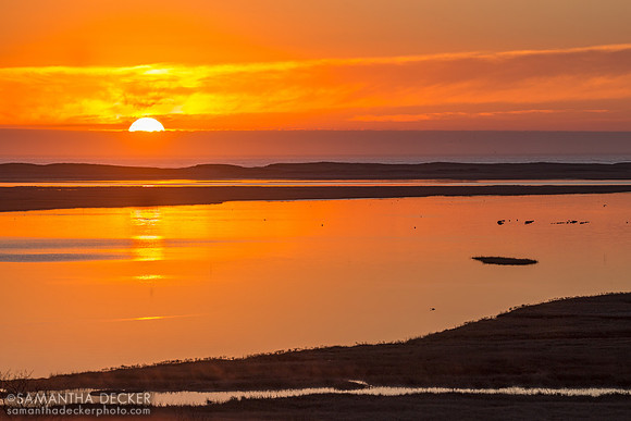Fort Hill Sunrise, Eastham, MA