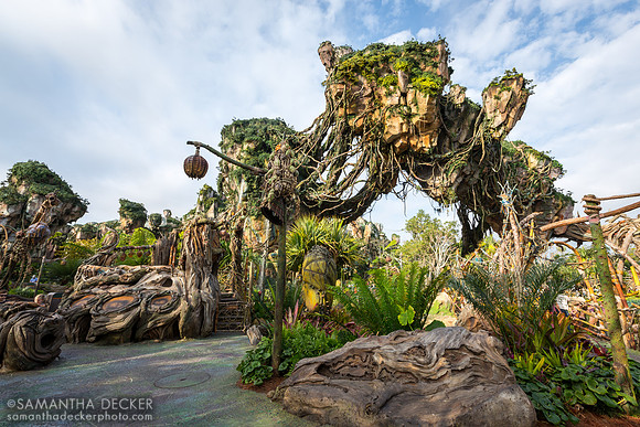 Pandora - World of Avatar, Disney's Animal Kingdom, Walt Disney World