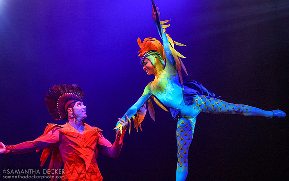 Festival of the Lion King, Disney's Animal Kingdom