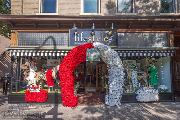 Lifestyles of Saratoga's Belmont Display