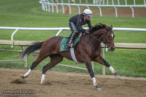 Cody's Wish Breezing, 2023