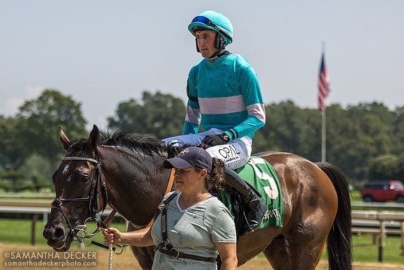 Jimmy P wins the Jonathan Sheppard H.