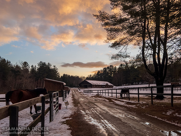 Winter at Cabin Creek, 2022