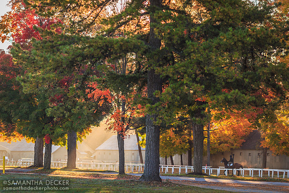 Saratoga in Fall, 2014