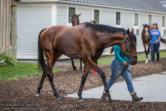 Agate Road, Pletcher barn