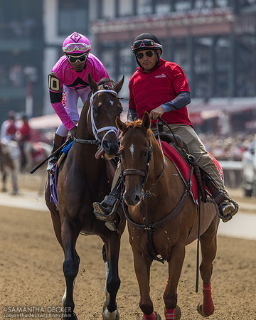 Game Warden, winner of R5