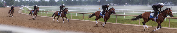 Mystik Dan Gallop Sequence, 2024
