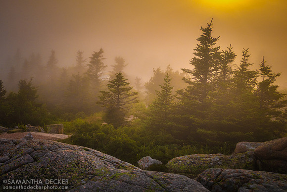 Cadillac Mountain, Acadia National Park