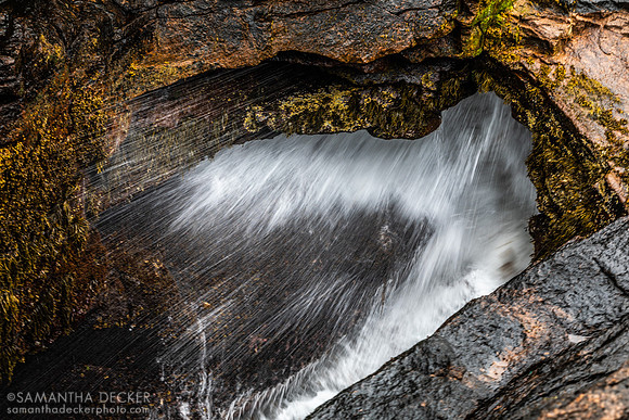Thunder Hole, Acadia National Park